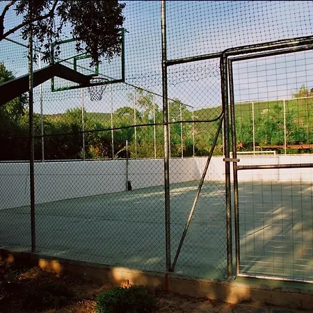 Razi * 레포카스트론