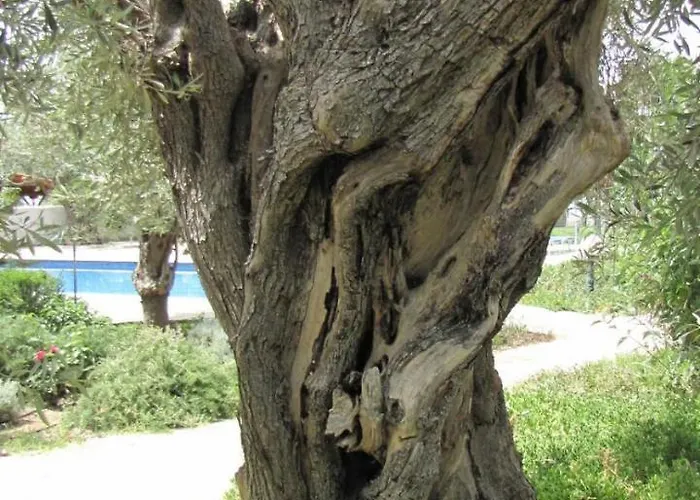 Razi Летний дом